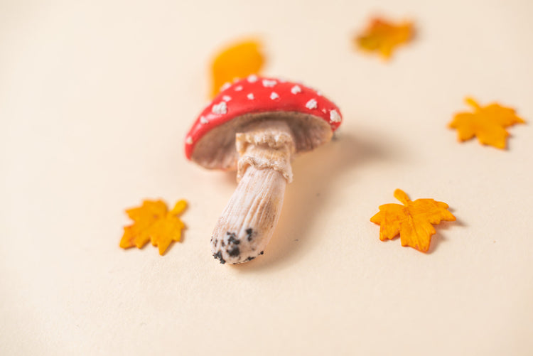 Toadstool Mushroom Brooch